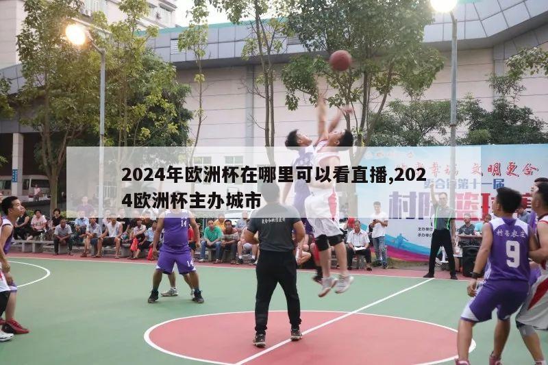 2024年欧洲杯在哪里可以看直播,2024欧洲杯主办城市