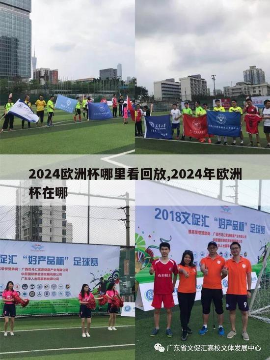 2024欧洲杯哪里看回放,2024年欧洲杯在哪