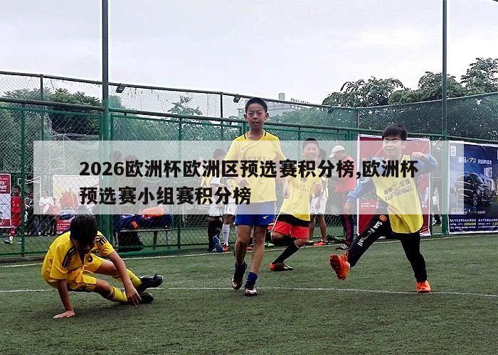 2026欧洲杯欧洲区预选赛积分榜,欧洲杯预选赛小组赛积分榜