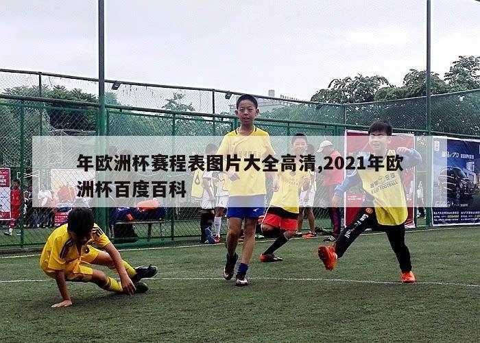 年欧洲杯赛程表图片大全高清,2021年欧洲杯百度百科