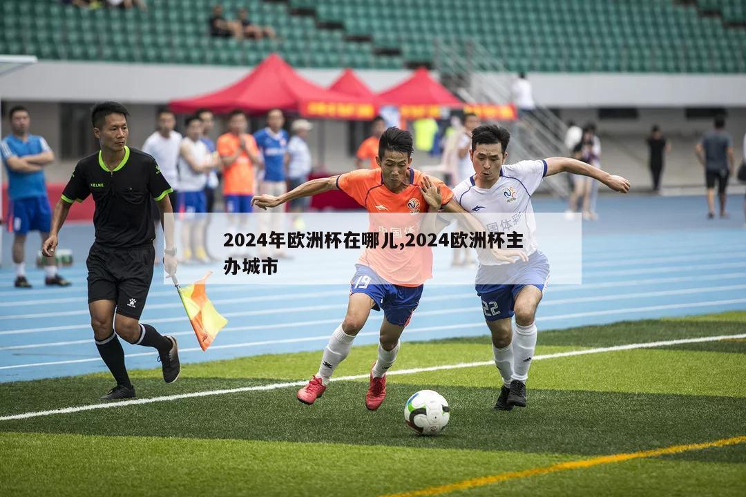 2024年欧洲杯在哪儿,2024欧洲杯主办城市