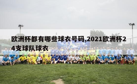 欧洲杯都有哪些球衣号码,2021欧洲杯24支球队球衣