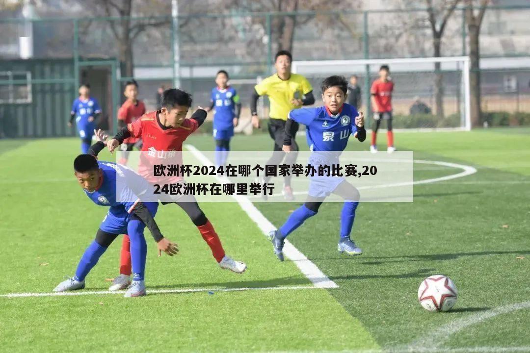 欧洲杯2024在哪个国家举办的比赛,2024欧洲杯在哪里举行