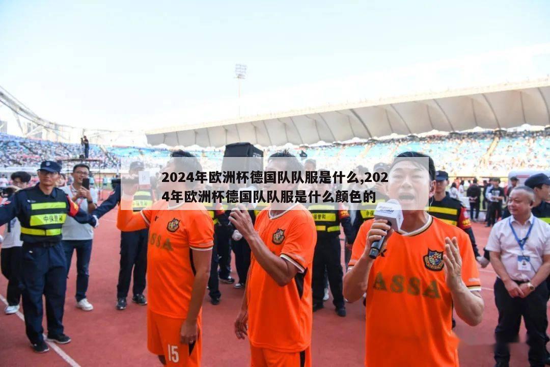 2024年欧洲杯德国队队服是什么,2024年欧洲杯德国队队服是什么颜色的