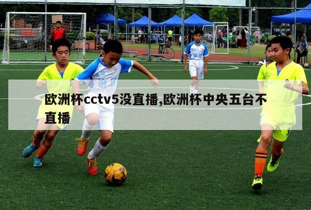 欧洲杯cctv5没直播,欧洲杯中央五台不直播